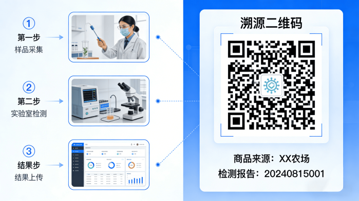 食品安全检测与溯源系统